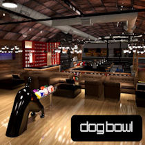 Dog Bowl Manchester