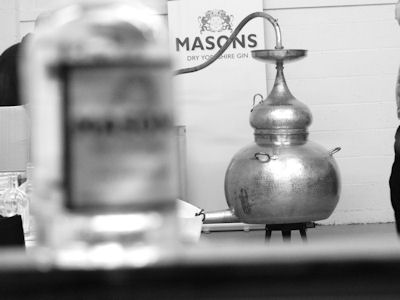 Masons - Steve the Still