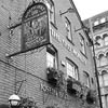 The Old Monkey