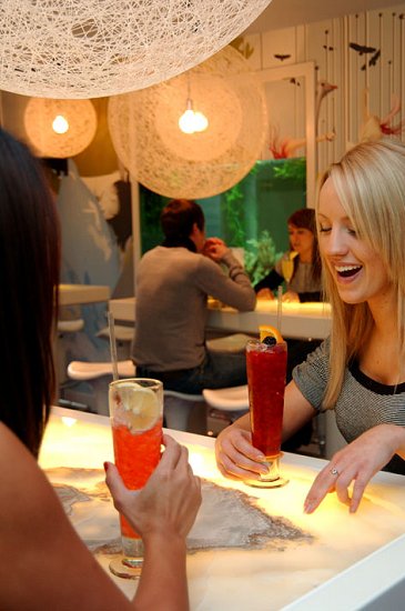 Great cocktails at Walrus