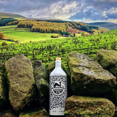 Forest Gin Macclesfield